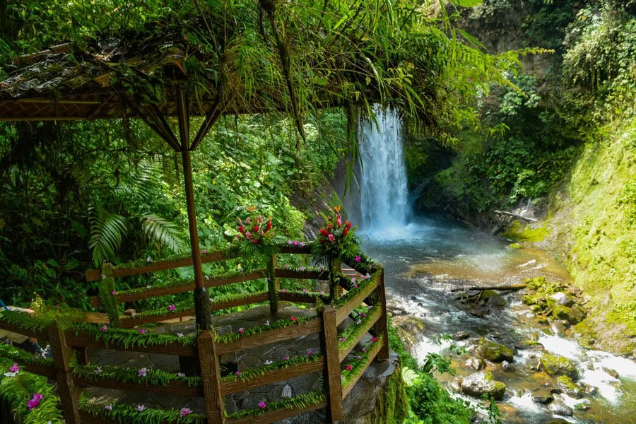 Jardins de la cascade de La Paz