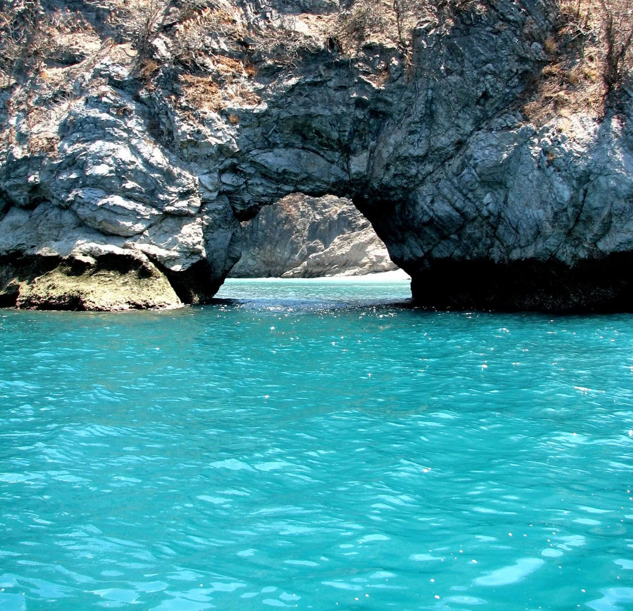 Croisière de Calypso vers l'île de Tortuga