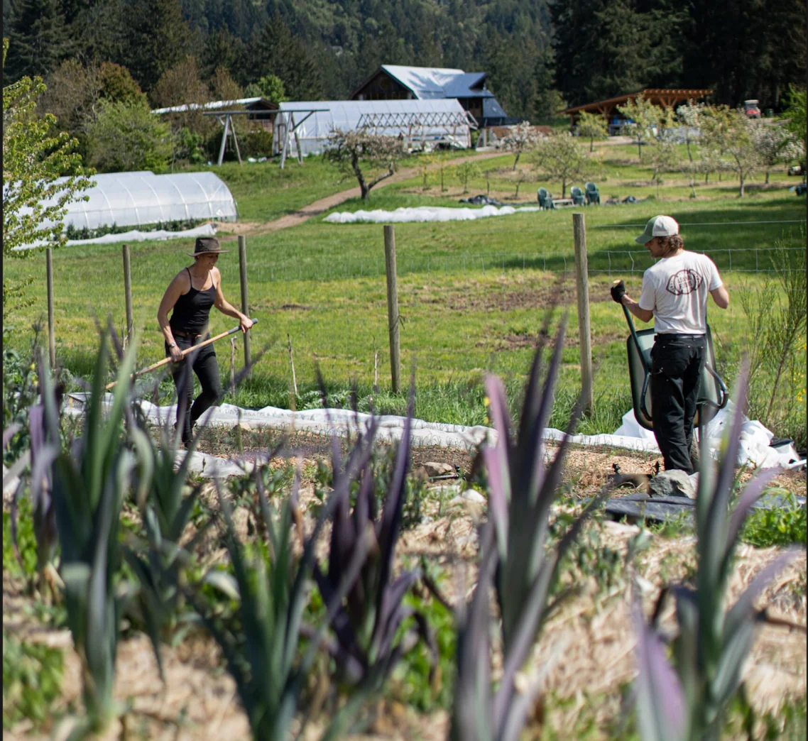 Préparation du jardin pour la saison prochaine — Stowel Lake Farm