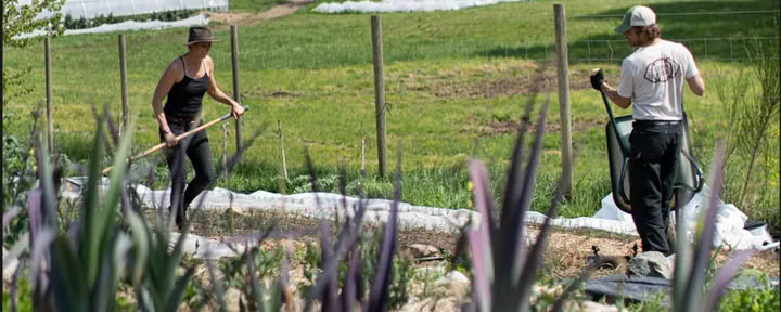 Préparation du jardin pour la saison prochaine — Stowel Lake Farm