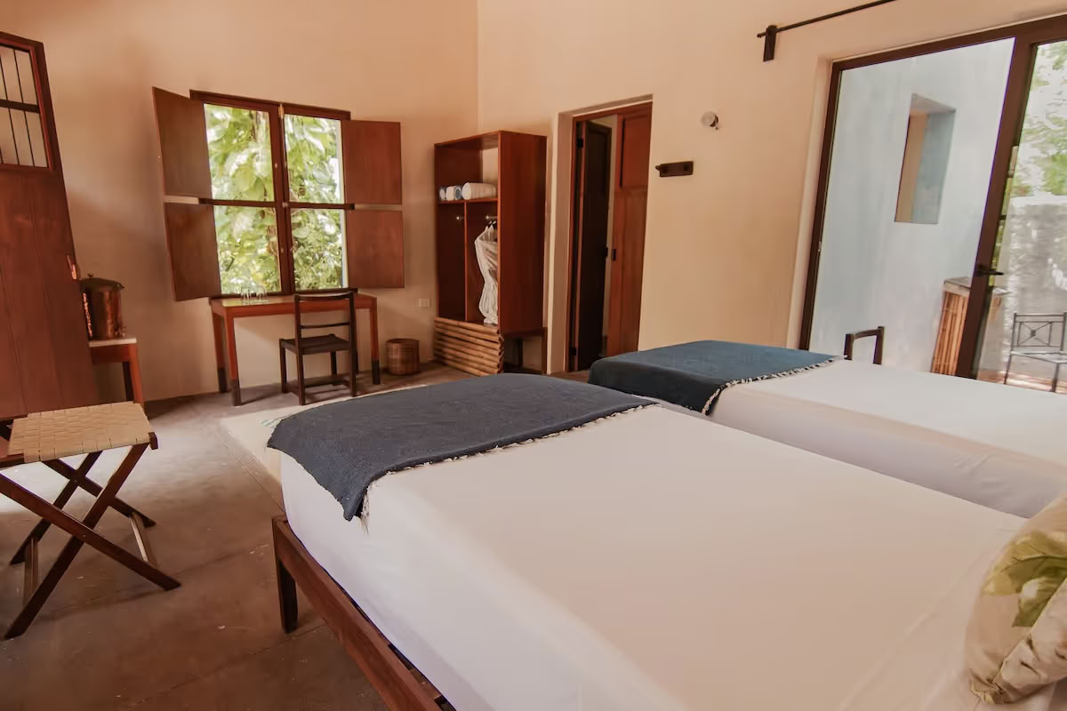 Retraite de 4 jours Bufo et champignons à psilocybine
