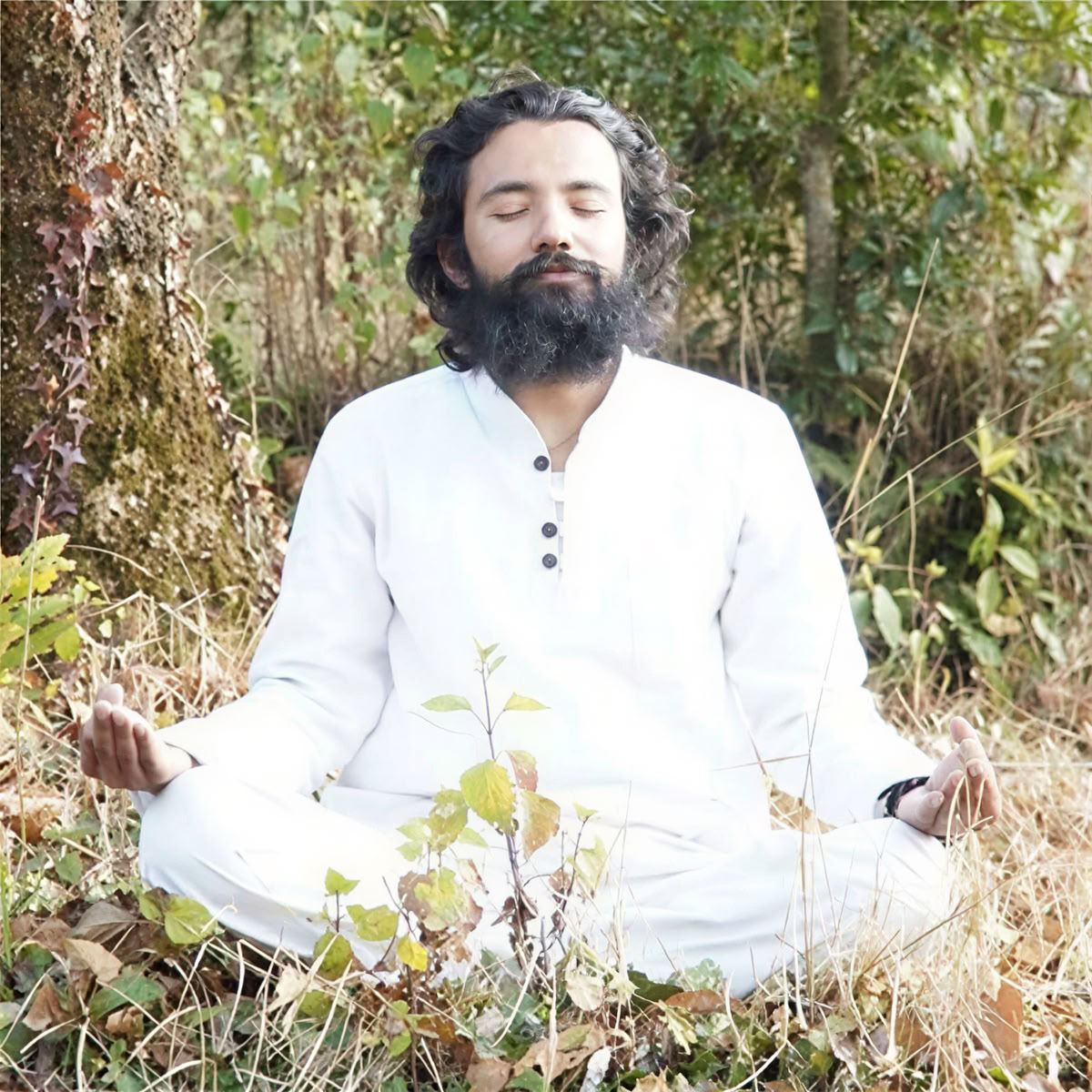 Formation de professeur de yoga de 200 heures au Népal - 22 jours – 01 janv. - 22 janv. 2027