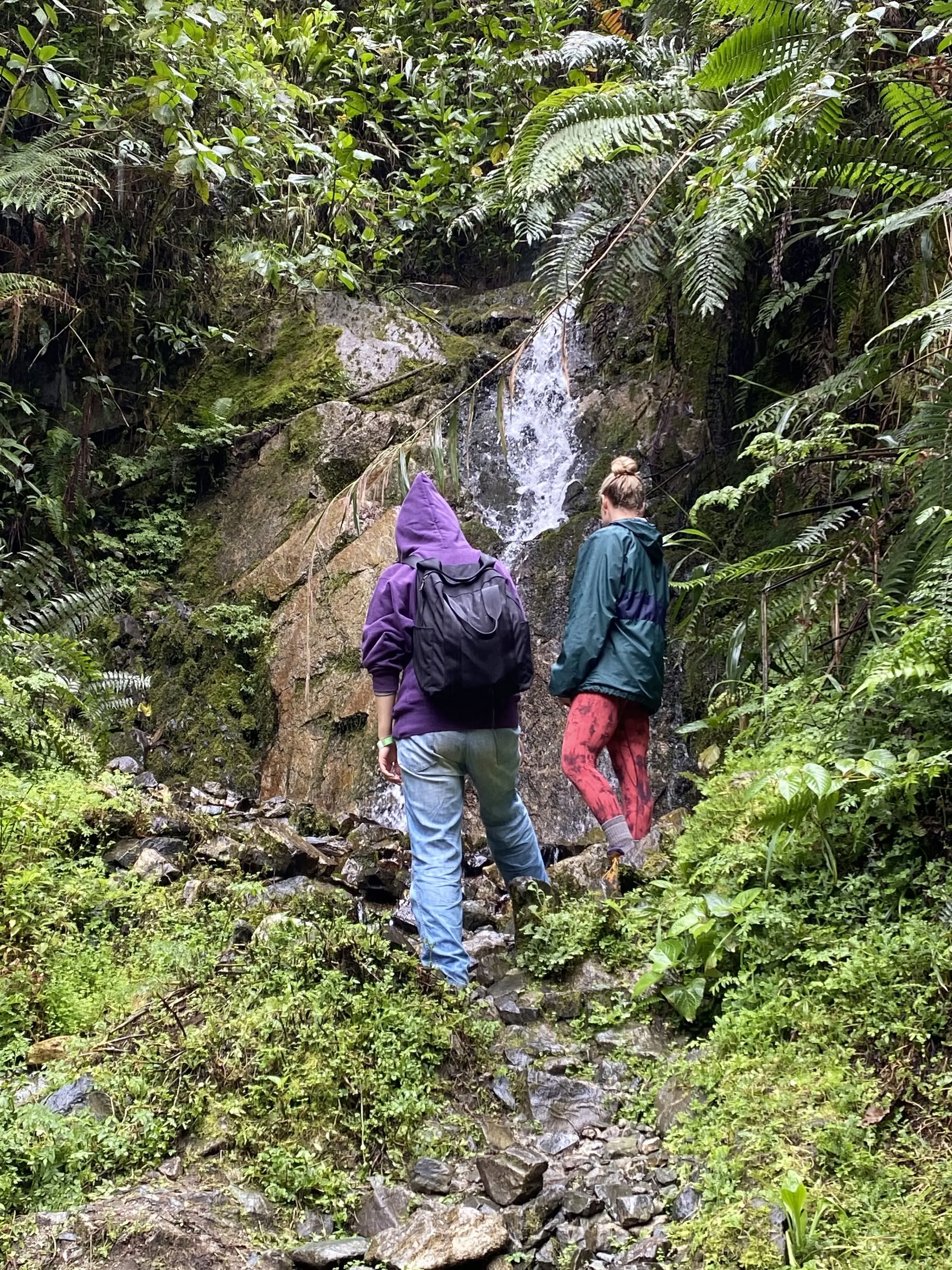 Retraite d'Ayahuasca pour femmes