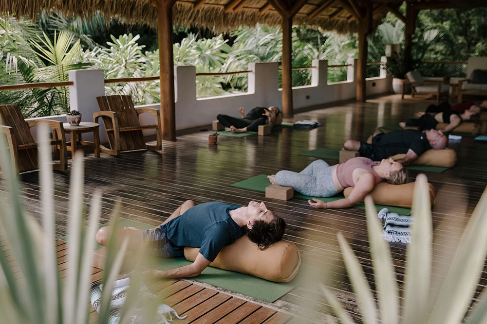 VINYASA FLOW DE FORCE