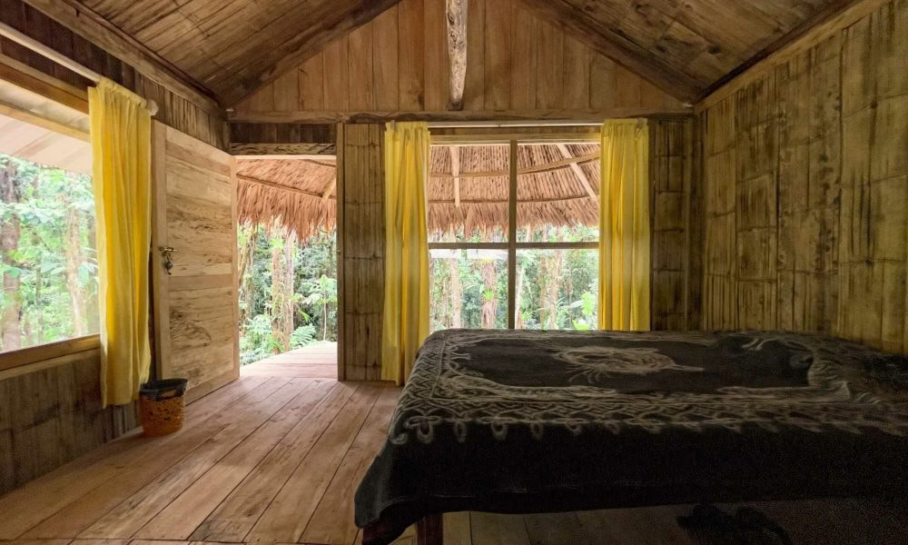Retraite d’initiation à l’ayahuasca : 7 et 14 jours – 10-31 janvier 2027