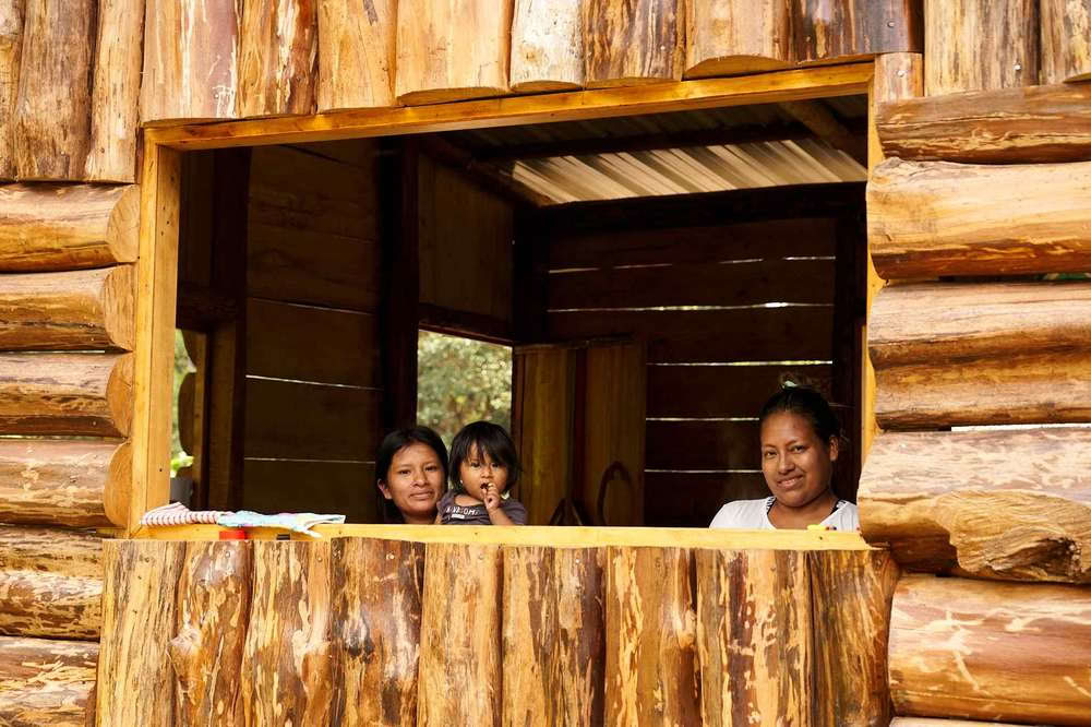 Retraite d'initiation à l'ayahuasca : 7 et 14 jours – 3-24 février 2027