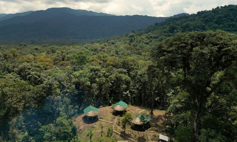 Retraite d'initiation à l'ayahuasca : 7 et 14 jours – 3-24 février 2027