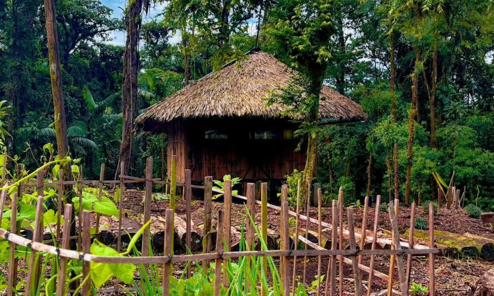 Retraite d'initiation à l'ayahuasca : 7 et 14 jours – 3-24 février 2027