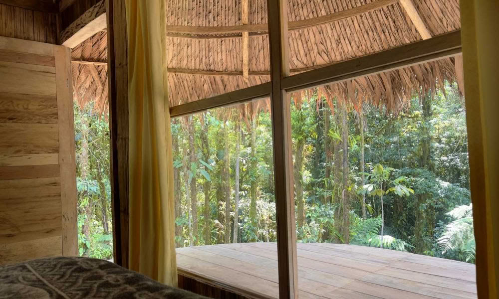 Retraite d'initiation à l'ayahuasca : 7 et 14 jours – 3-24 février 2027