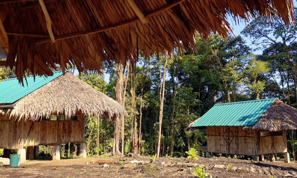 Retraite d'initiation à l'ayahuasca : 7 et 14 jours – 3-24 février 2027