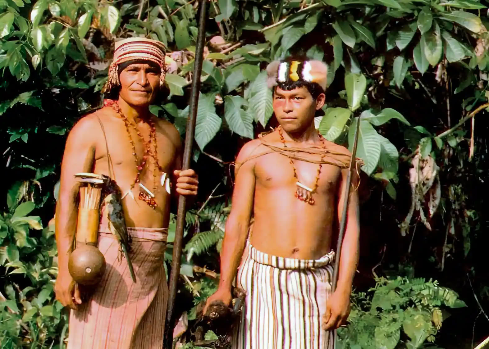 Retraite d'initiation à l'ayahuasca : 7 et 14 jours – 3-24 février 2027