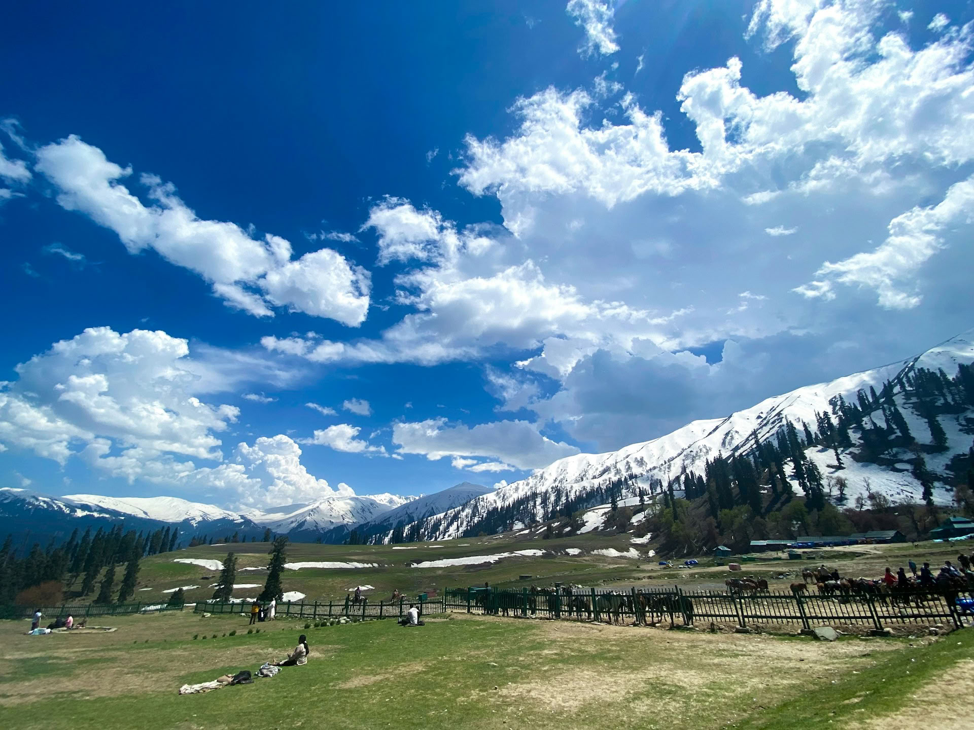 Classic Kashmir Évasion : Houseboat, Prairies & Paysages Glaciaires