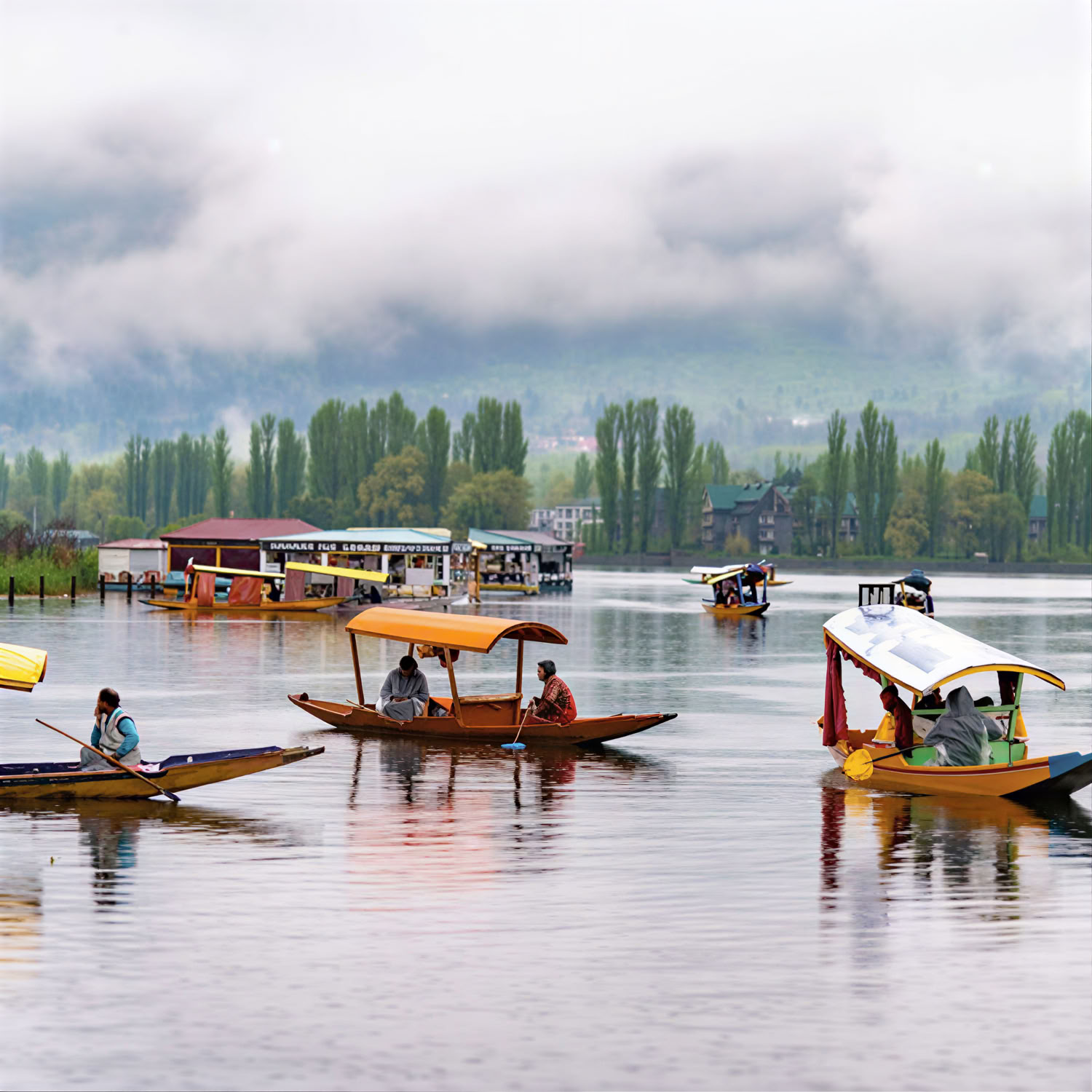 Meadows of Gold : escapade alpine de Srinagar à Sonmarg