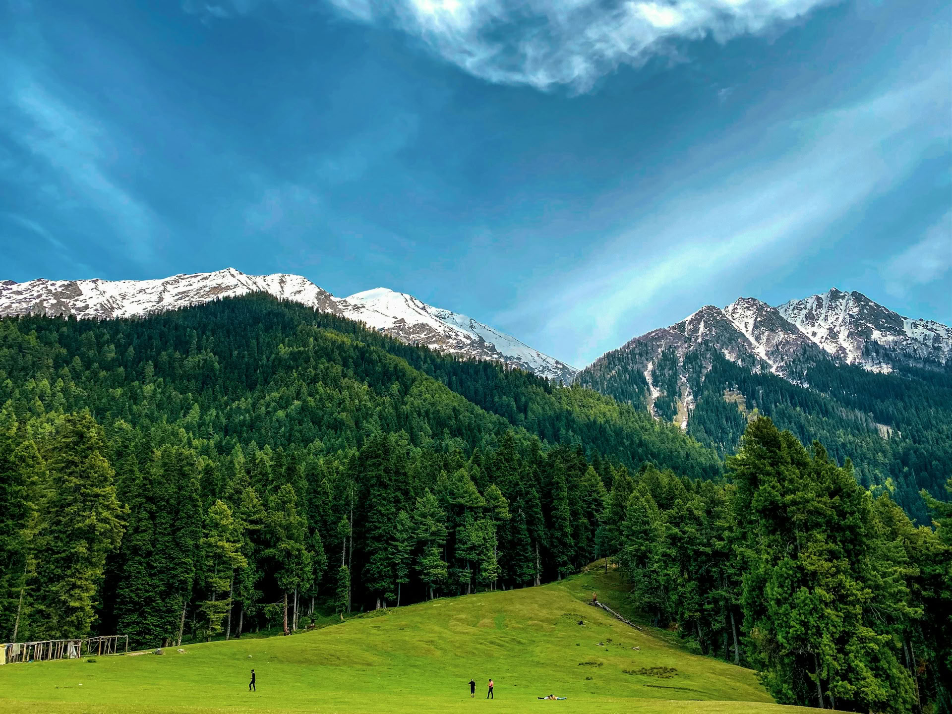 Meadows of Gold : escapade alpine de Srinagar à Sonmarg