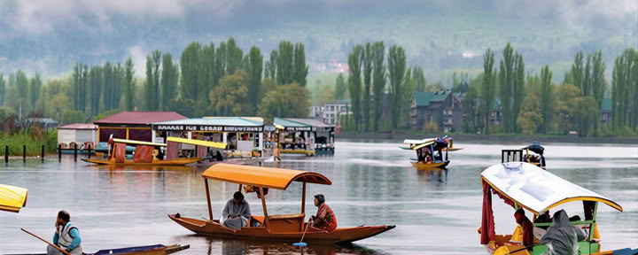 Meadows of Gold : escapade alpine de Srinagar à Sonmarg