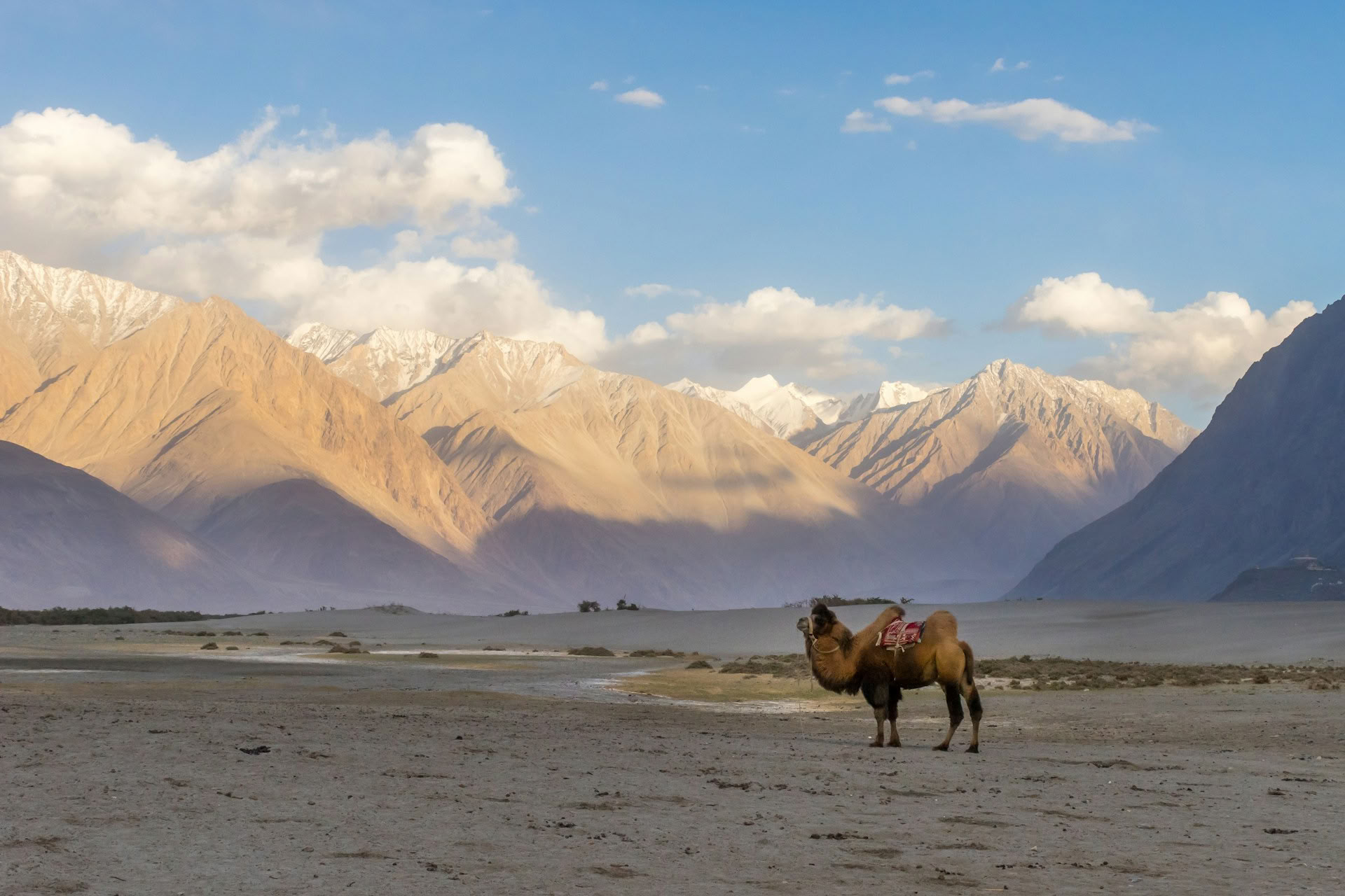 Du paradis au plateau : voyage routier du Cachemire au Ladakh