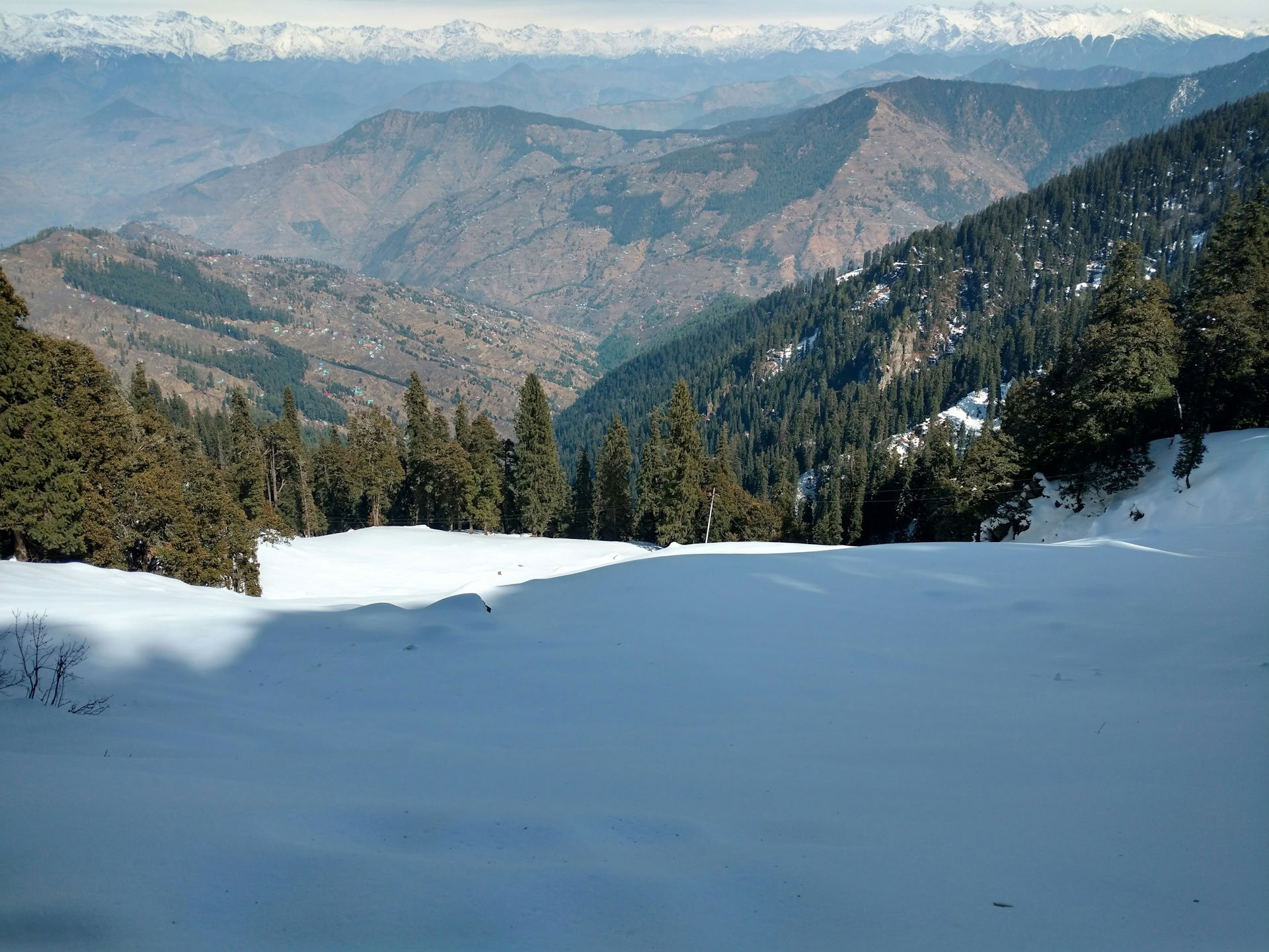Des vergers aux sentiers forestiers : escapade himalayenne lente à Thanedar, Sojha et Tirthan
