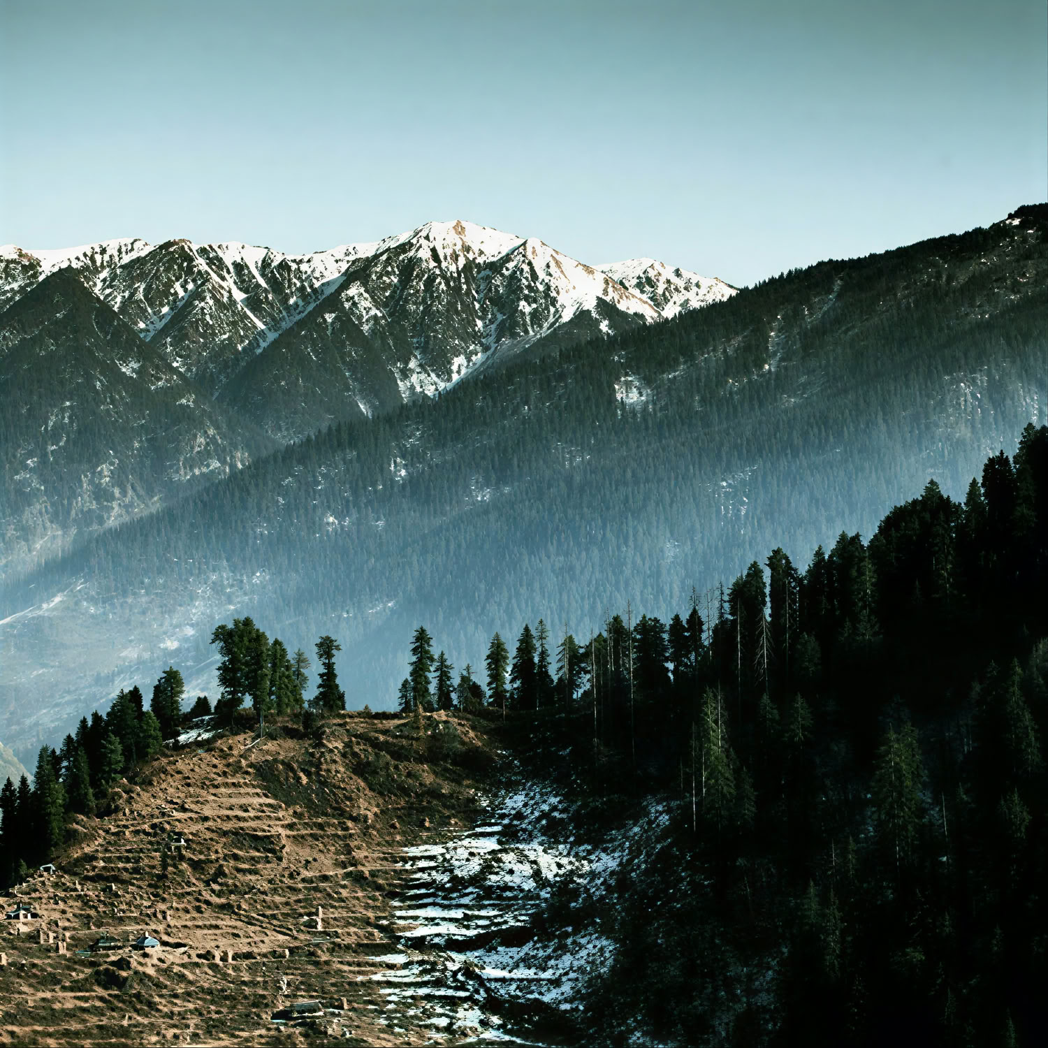 Des vergers aux sentiers forestiers : escapade himalayenne lente à Thanedar, Sojha et Tirthan