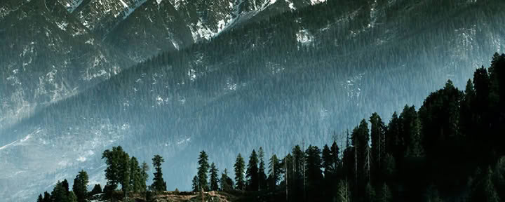 Des vergers aux sentiers forestiers : escapade himalayenne lente à Thanedar, Sojha et Tirthan