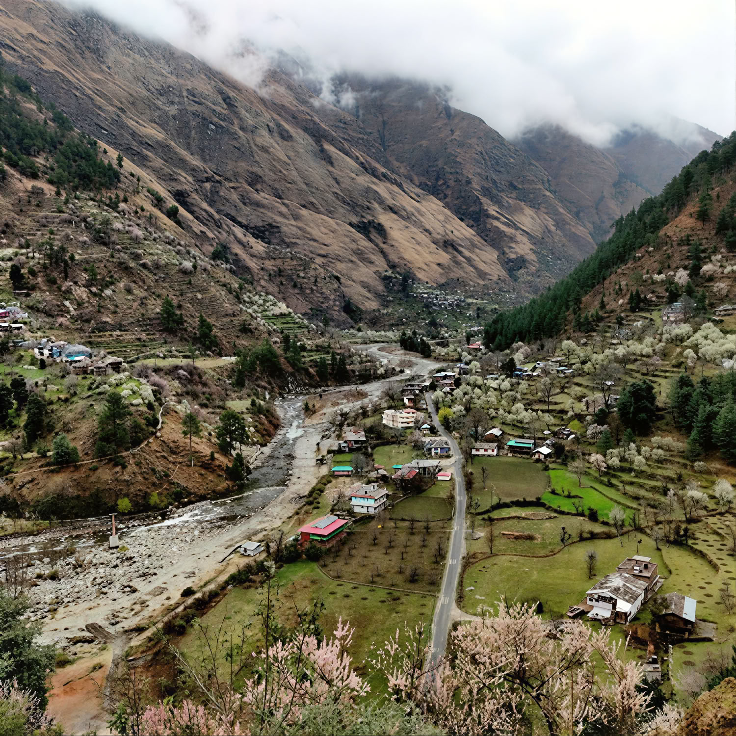 Sentiers forestiers vers des hameaux cachés : retraite himalayenne de Sojha, Tirthan et Sonaugi