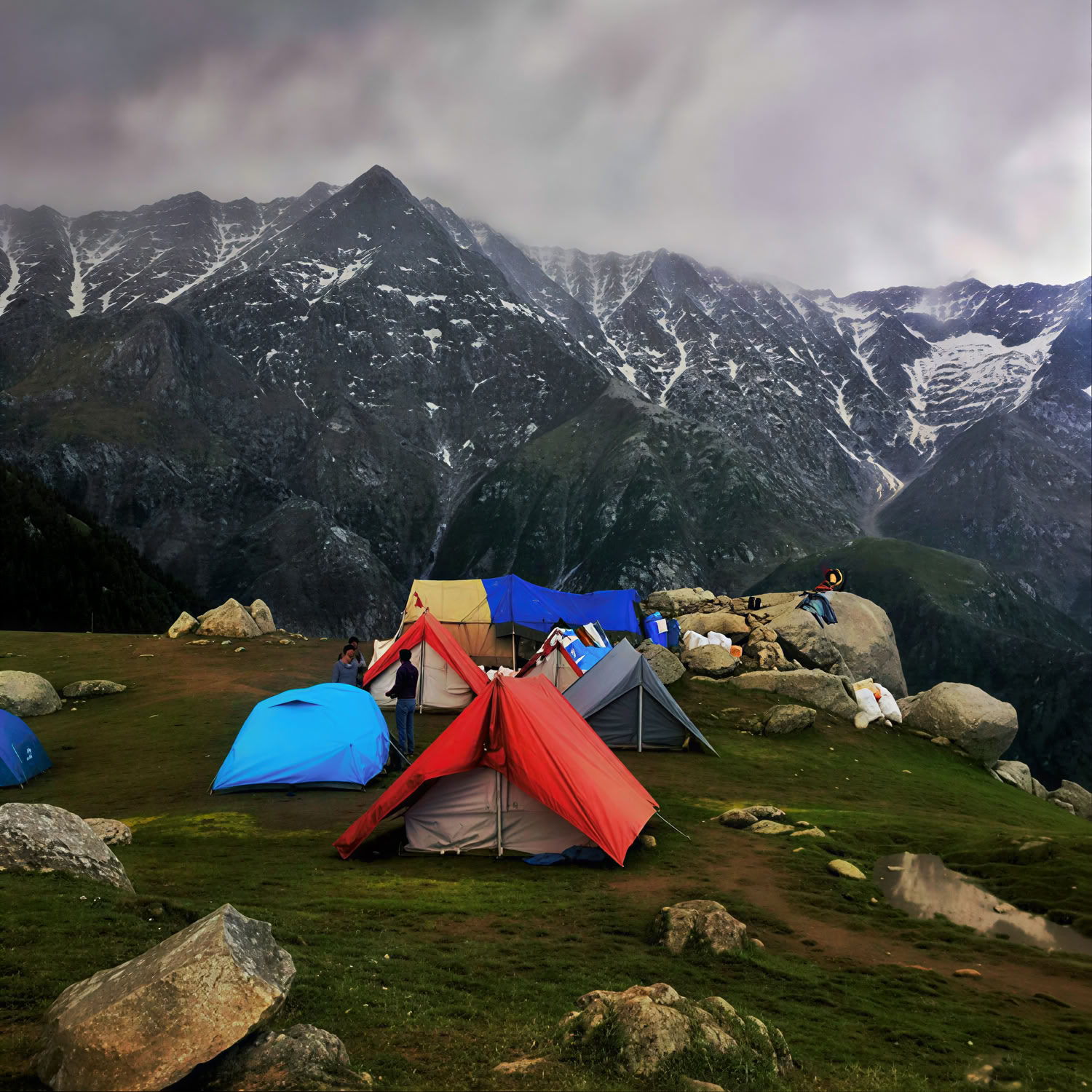 Monastères, sentiers du thé et vues célestes : escapade à Dharamshala, Palampur et Bir