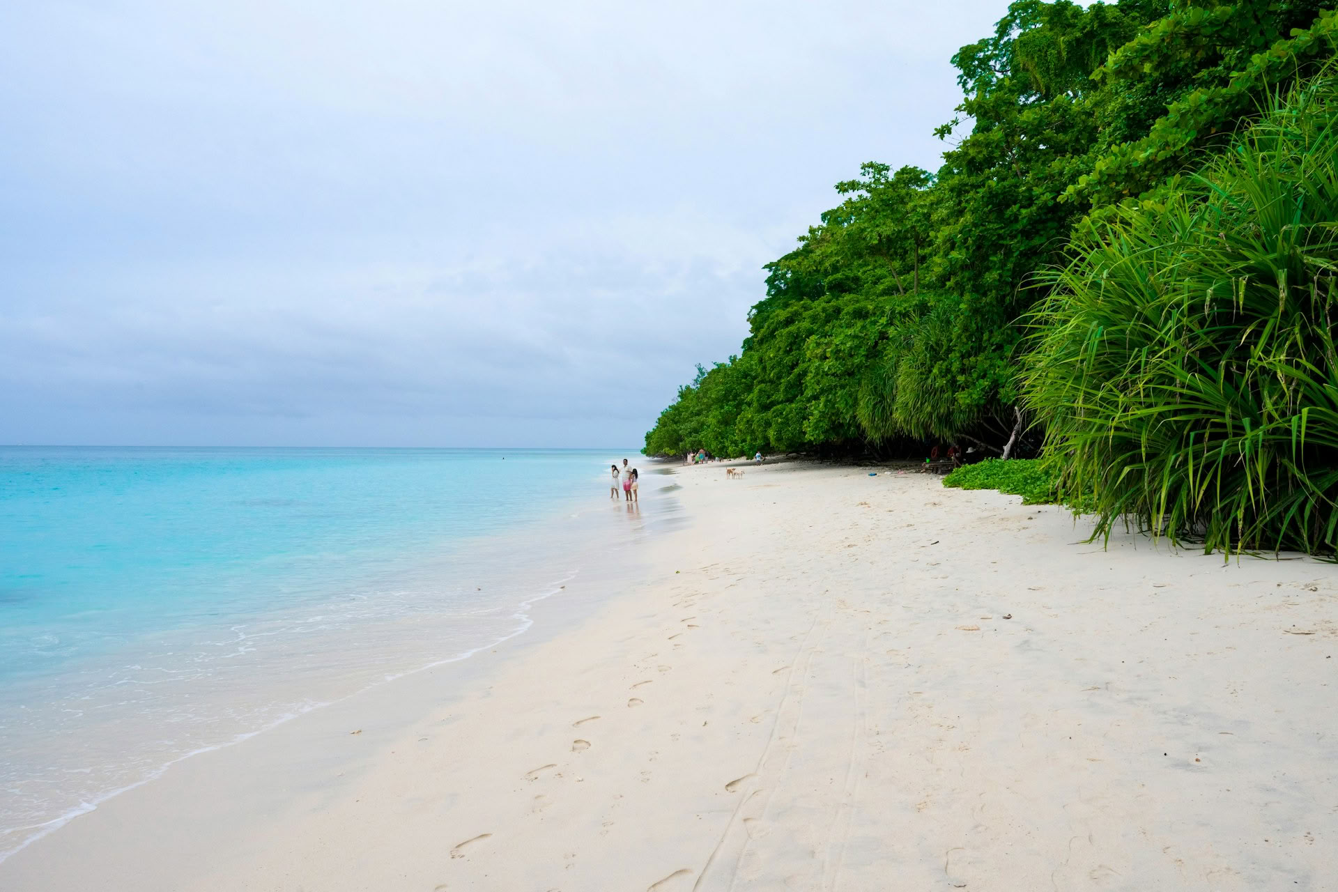 Azure Andaman Escape : retraite à Port Blair et Havelock