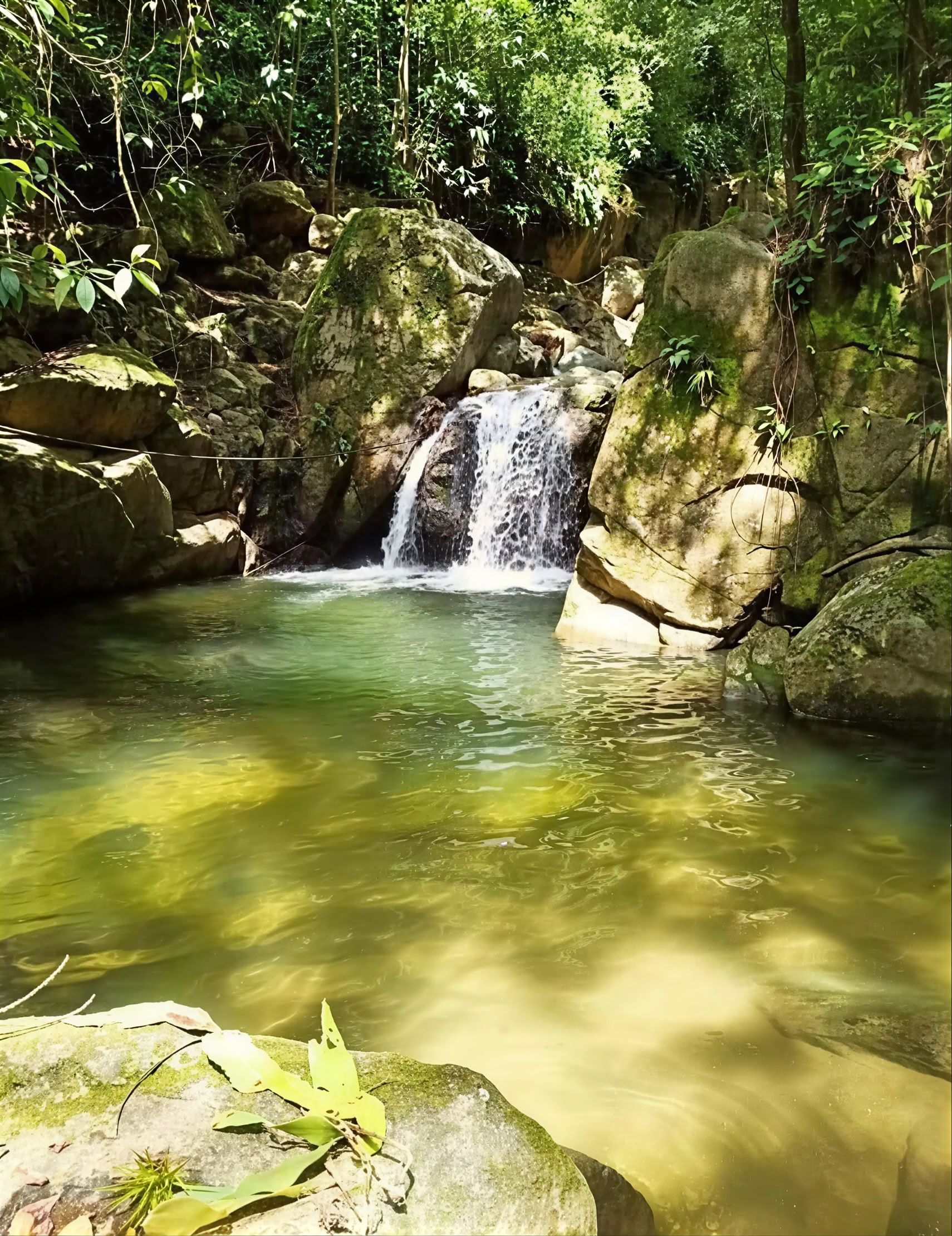 Retraite sacrée d'ayahuasca à Santa Marta, en Colombie