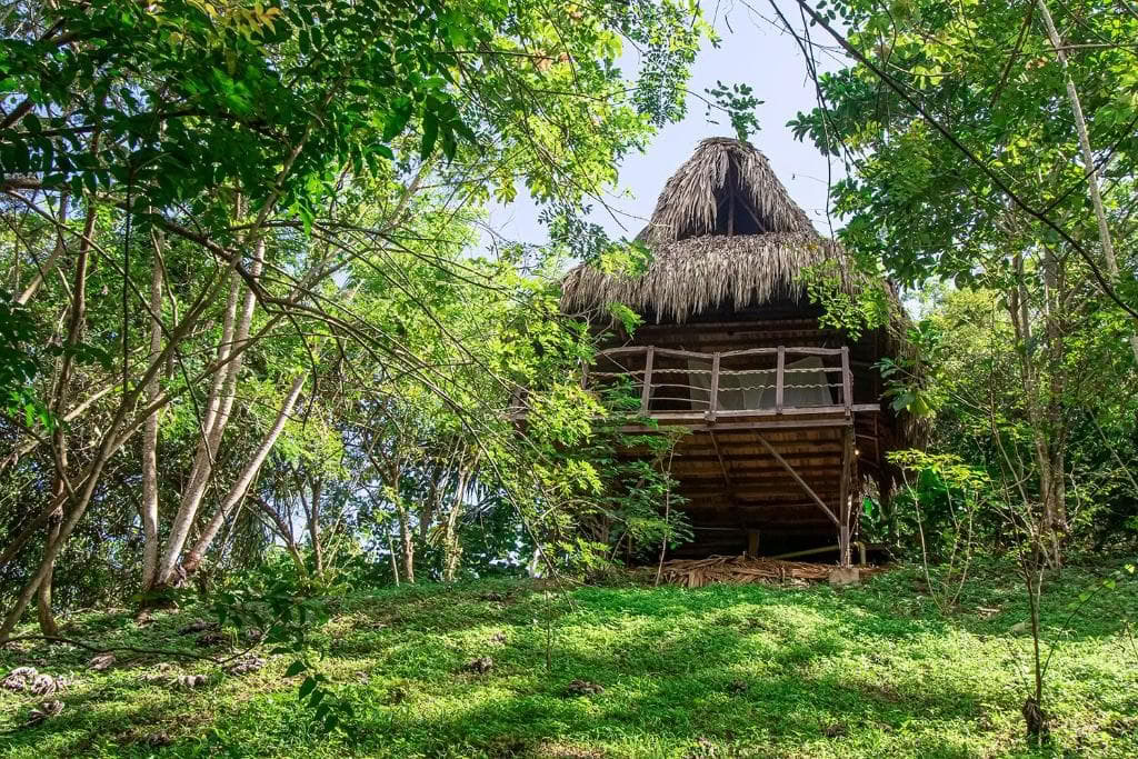 Retraite sacrée d'ayahuasca à Santa Marta, en Colombie