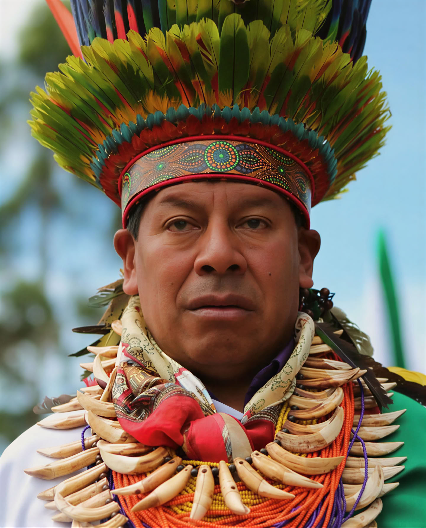 Retraite sacrée d'ayahuasca à Santa Marta, en Colombie