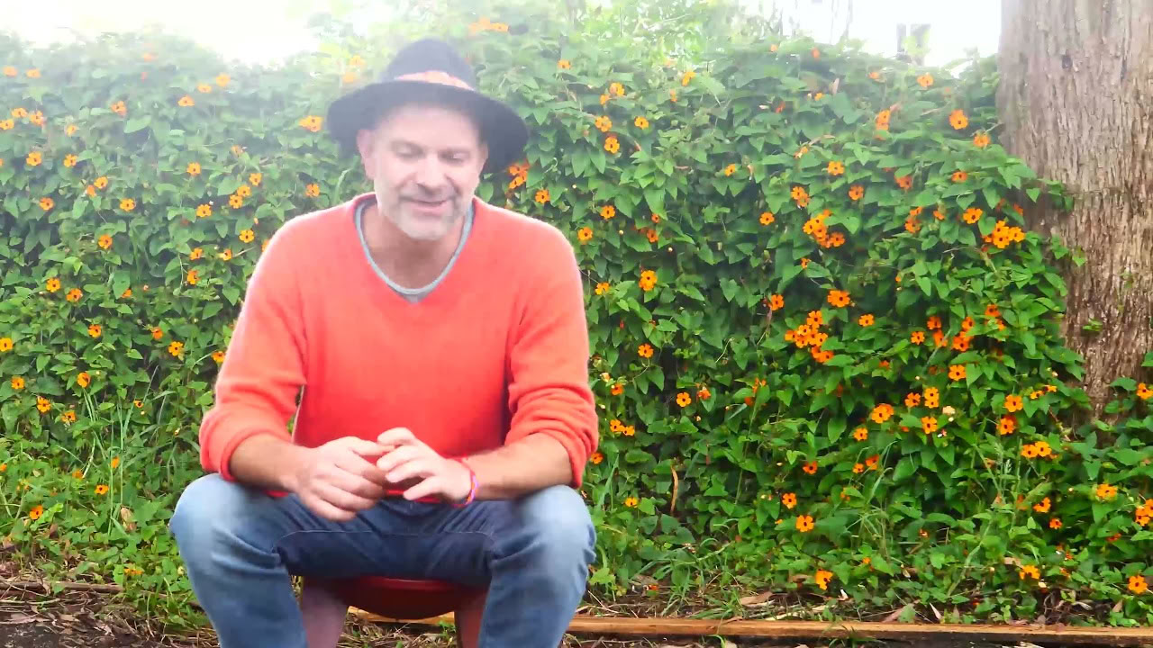 Retraite Ayahuasca