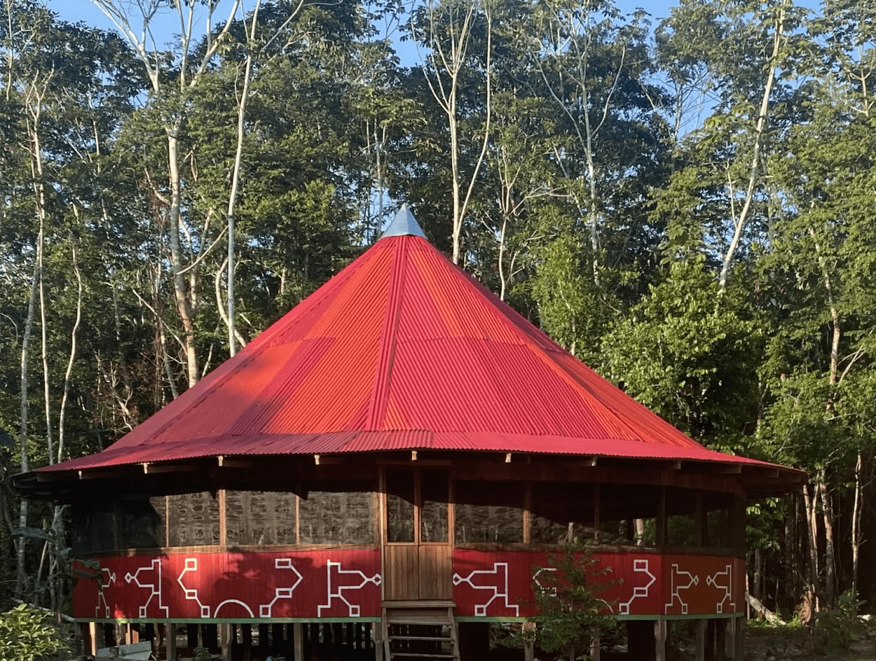 Cérémonie rituelle d'Ayahuasca