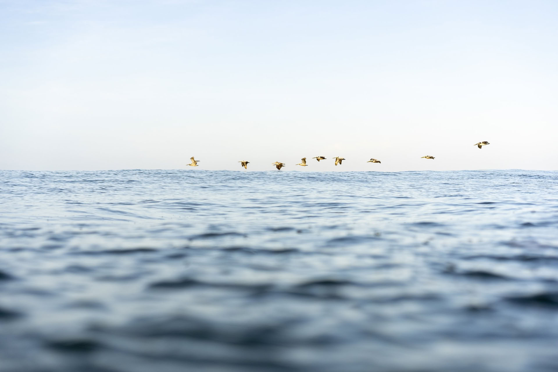 Retraite de yoga Pure Presence