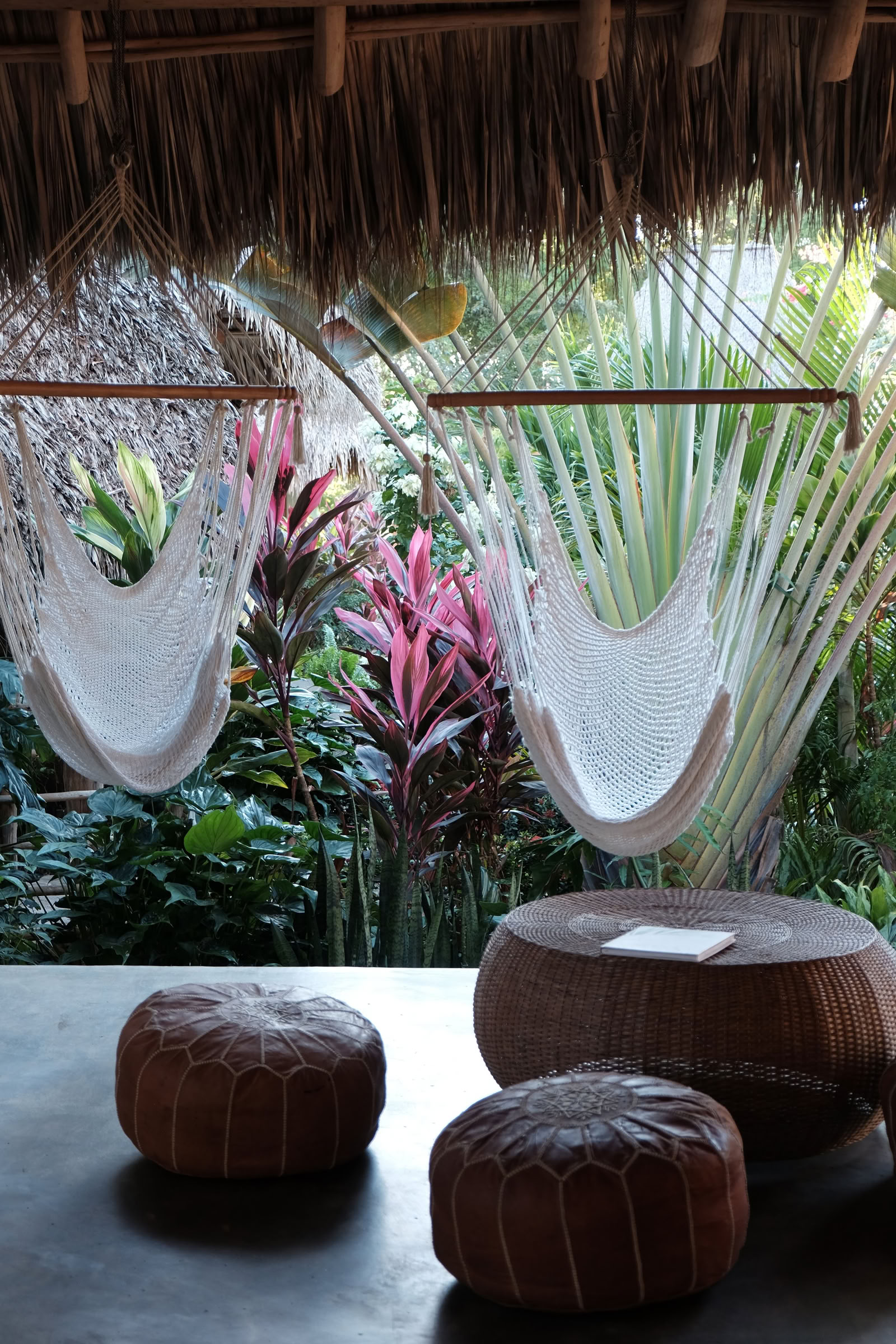 Retraite de yoga Wild Nicaragua