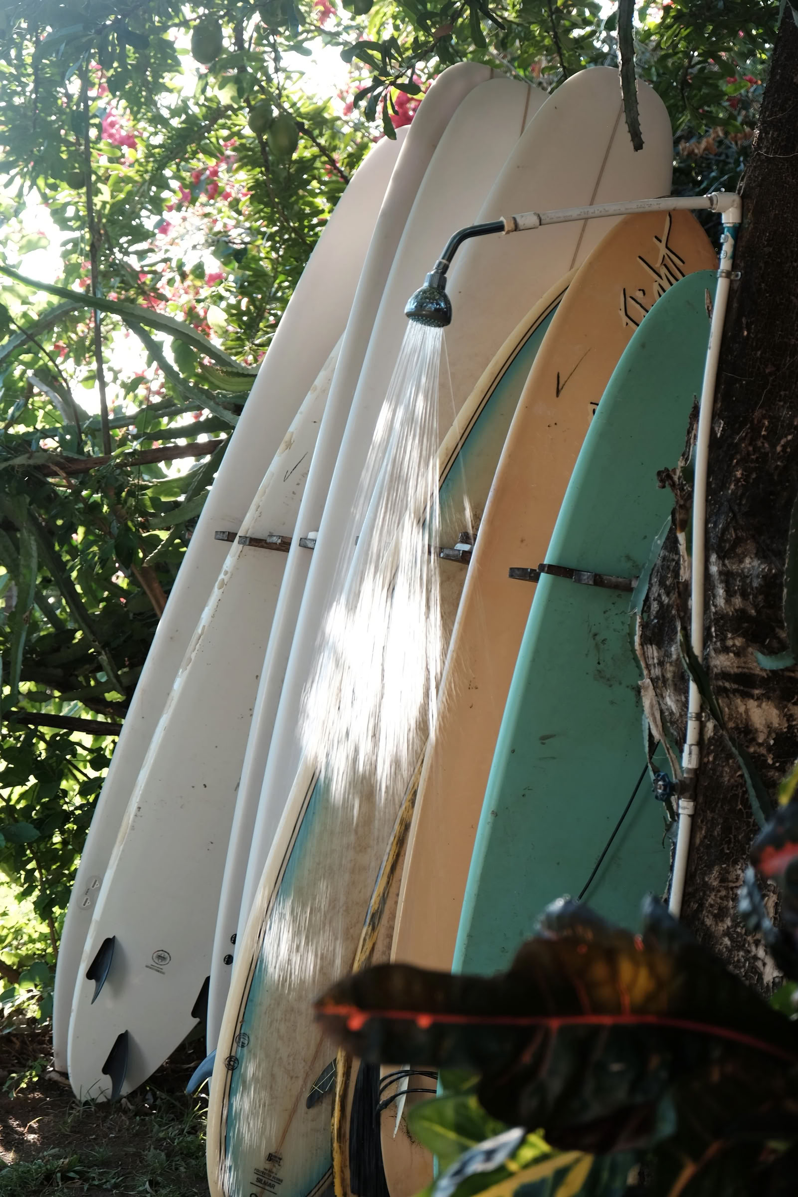 Retraite de yoga Wild Nicaragua