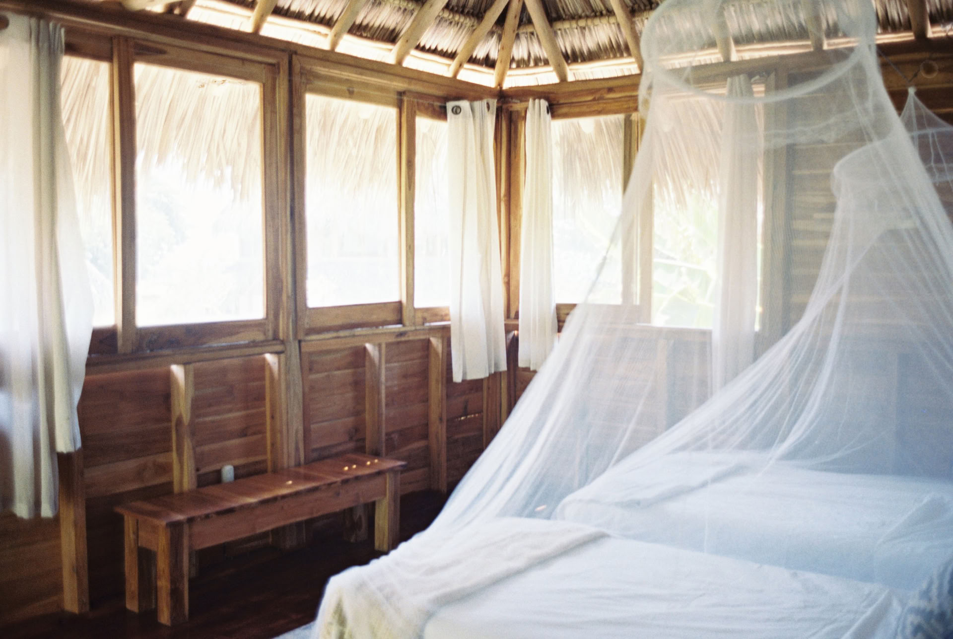Retraite de yoga Wild Nicaragua