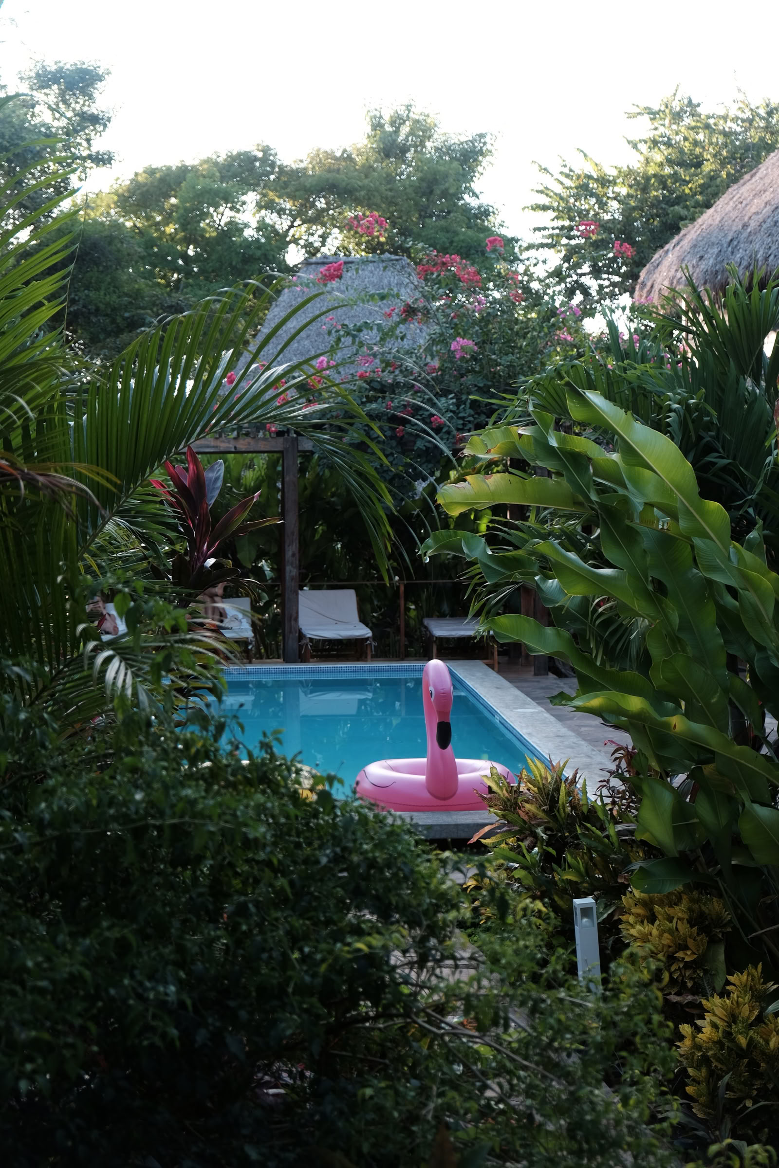 Retraite de yoga Wild Nicaragua