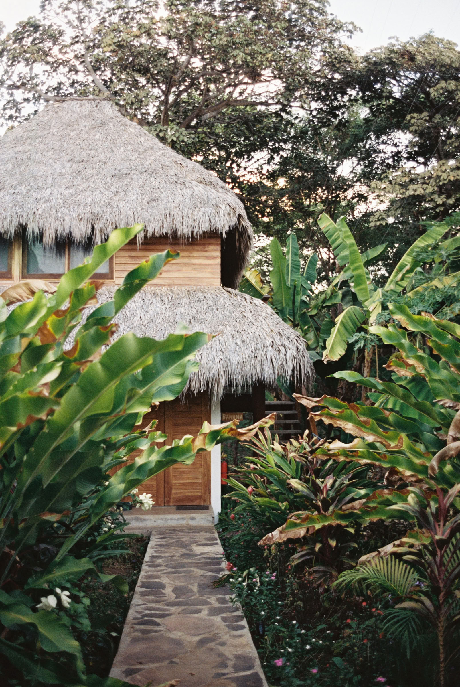 Retraite de yoga Wild Nicaragua