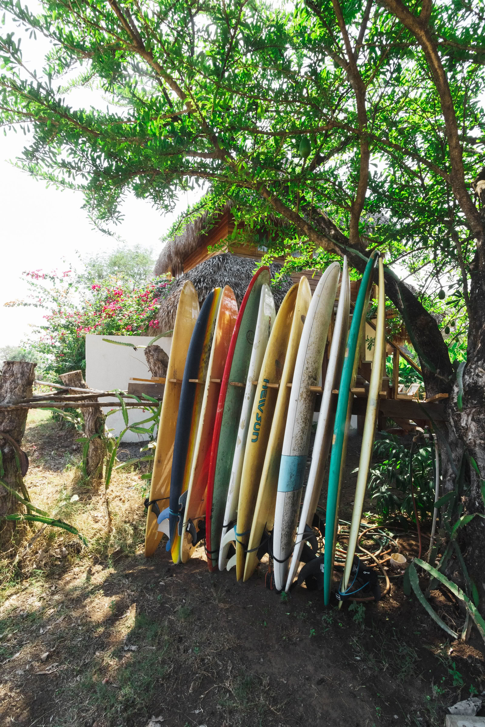 Retraite de yoga Wild Nicaragua