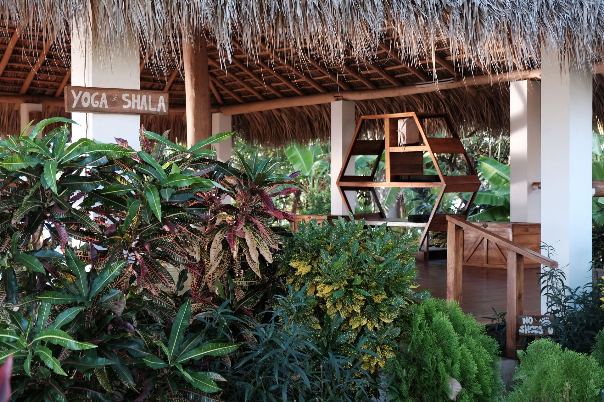 Retraite de yoga Wild Nicaragua