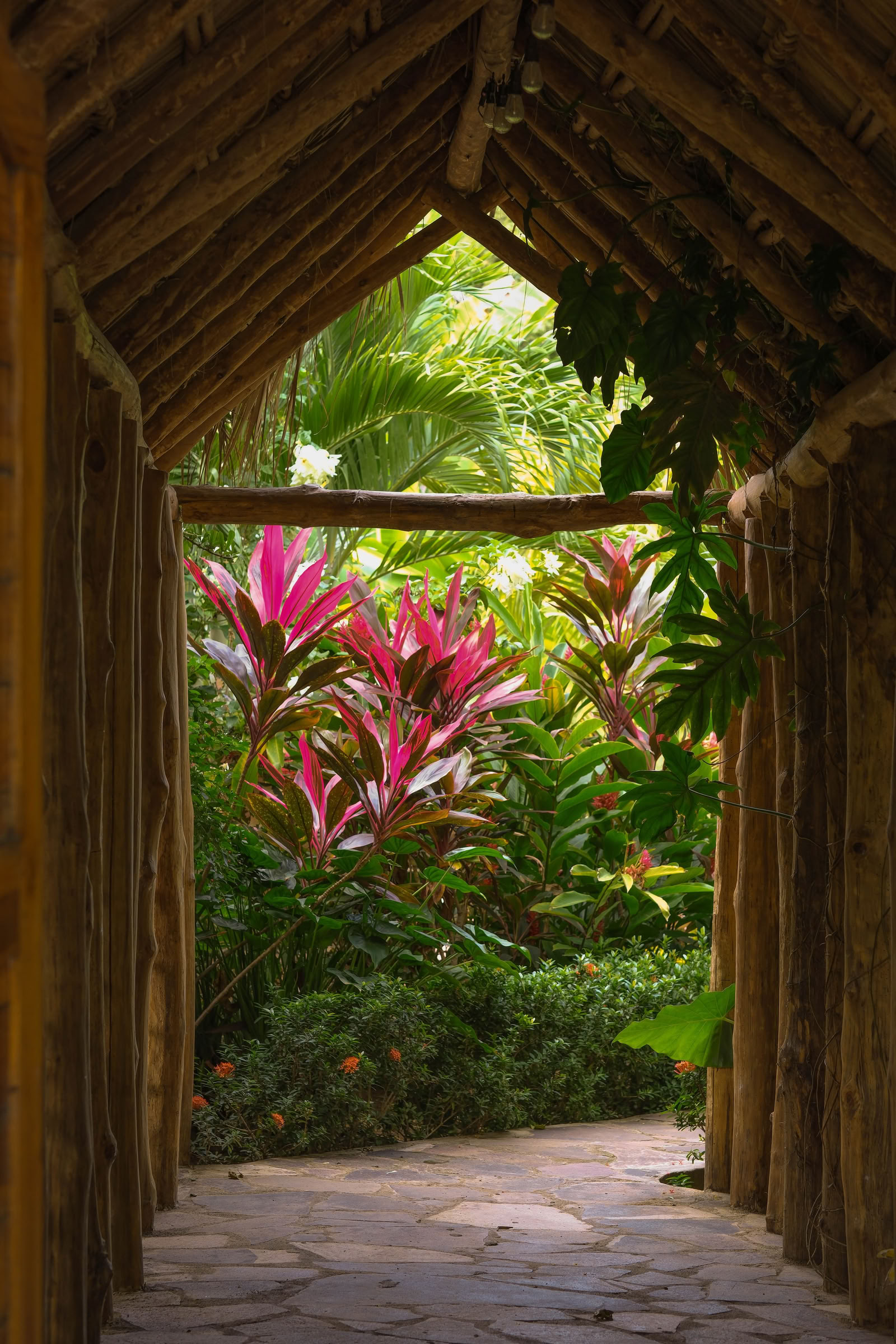 Retraite de yoga Wild Nicaragua