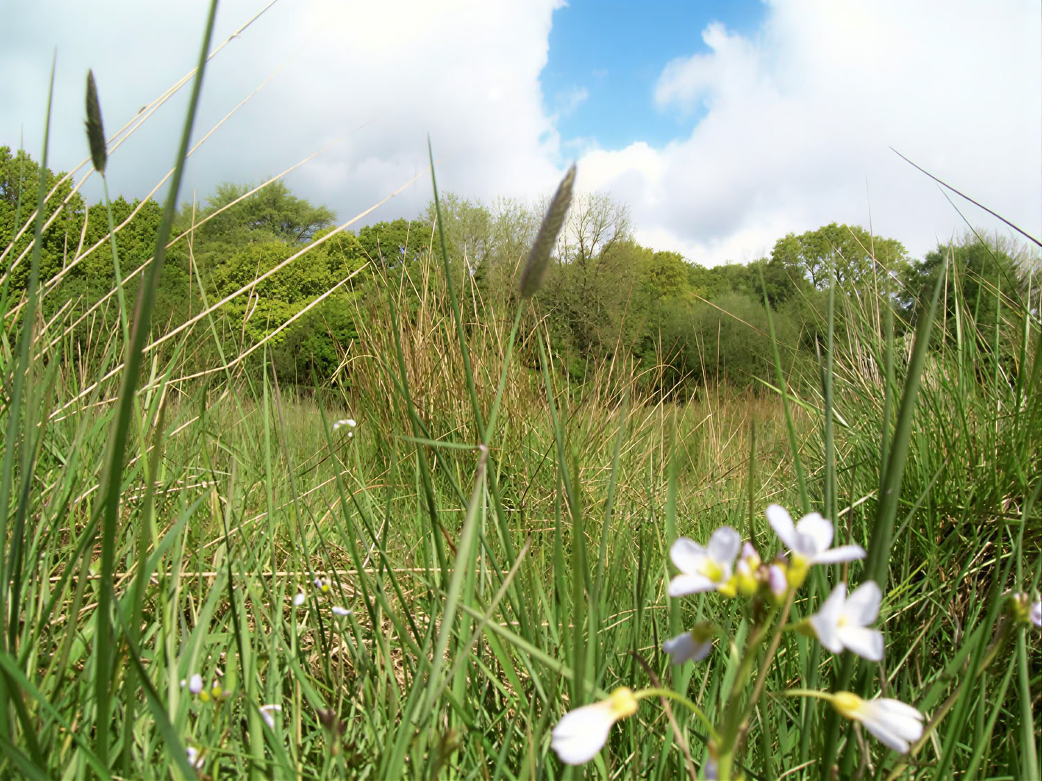 Silence et Calme : Retraite Vipassana