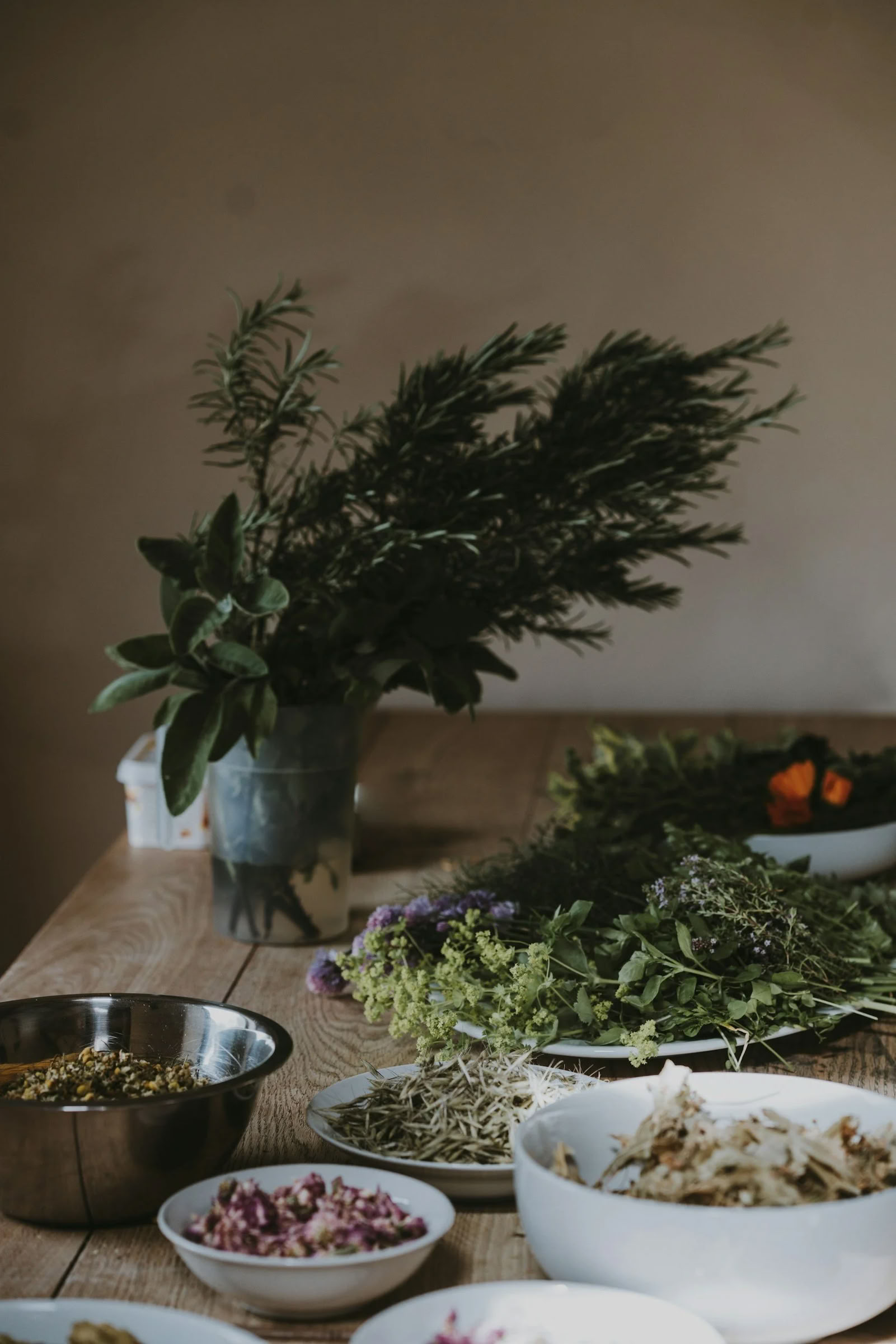 Retraite Ayurveda Vivante