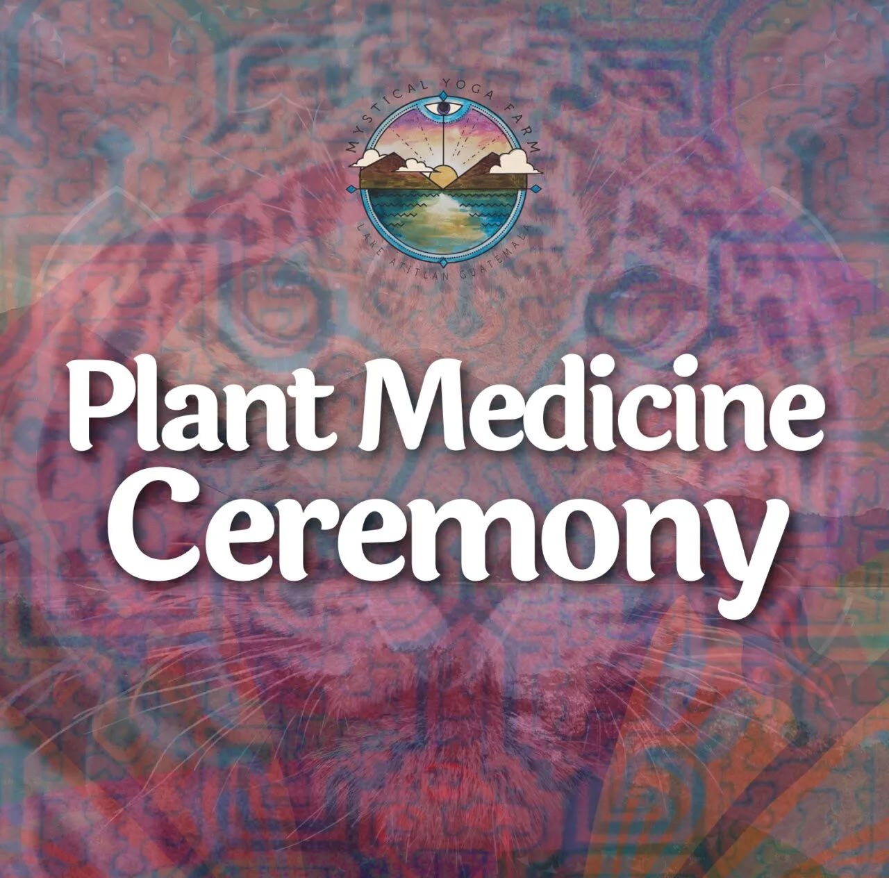 Cérémonies de médecine des plantes