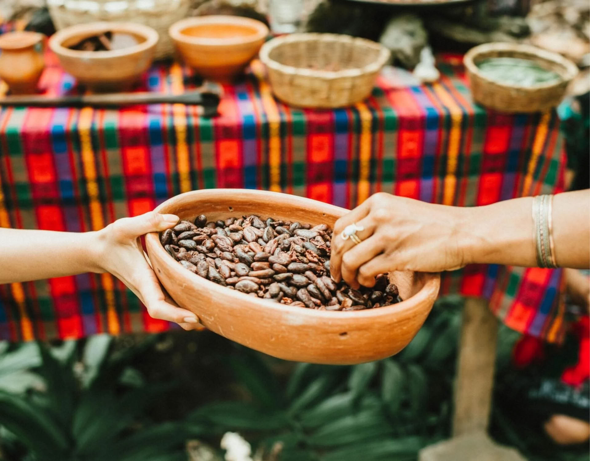 Formation Cacao Source