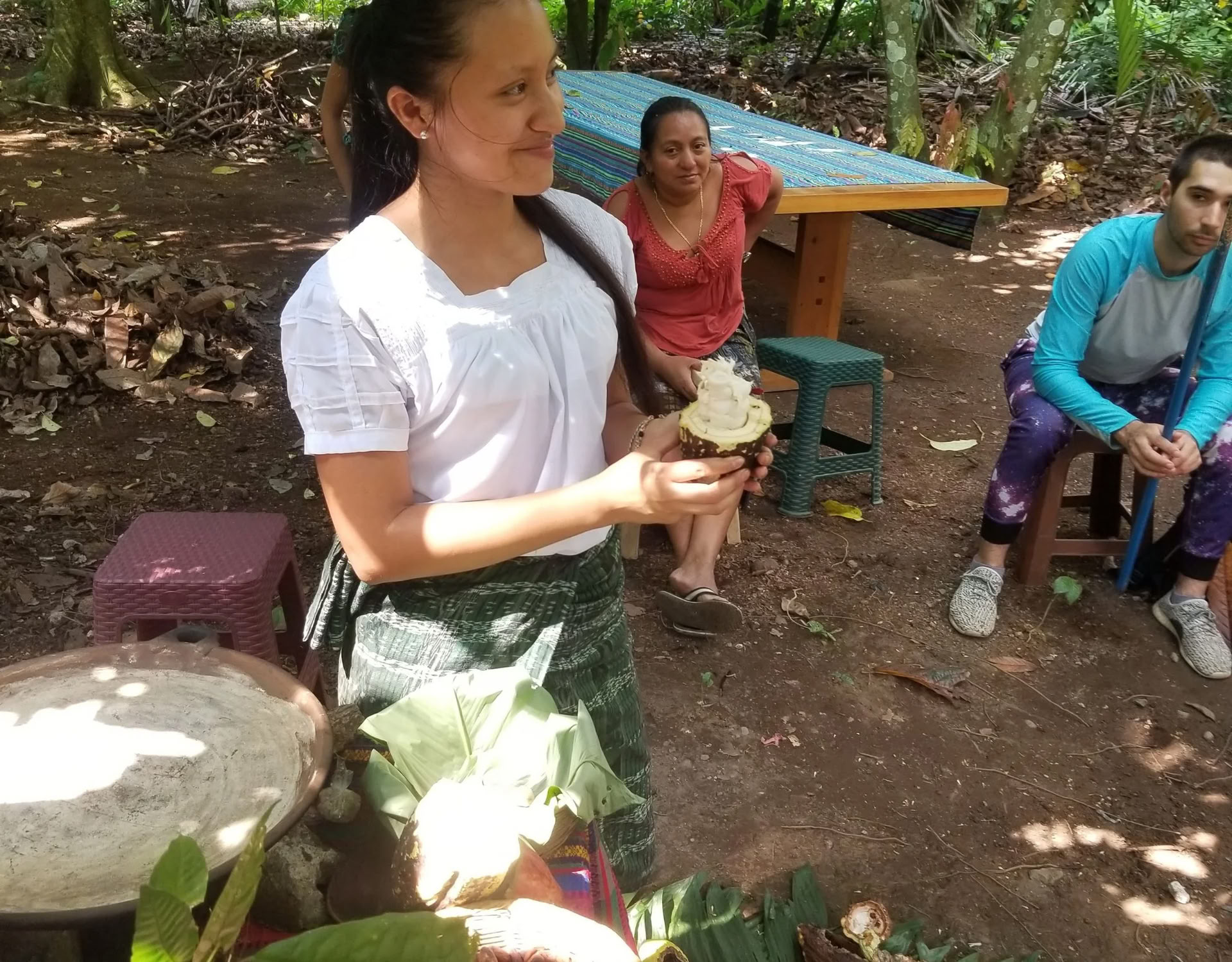 Formation Cacao Source