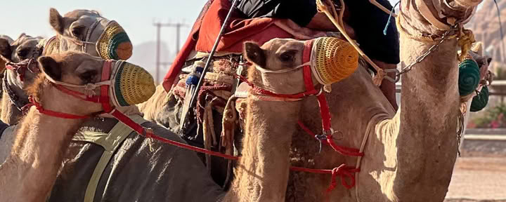 Aventure dans le désert à Wadi Rum, Jordanie