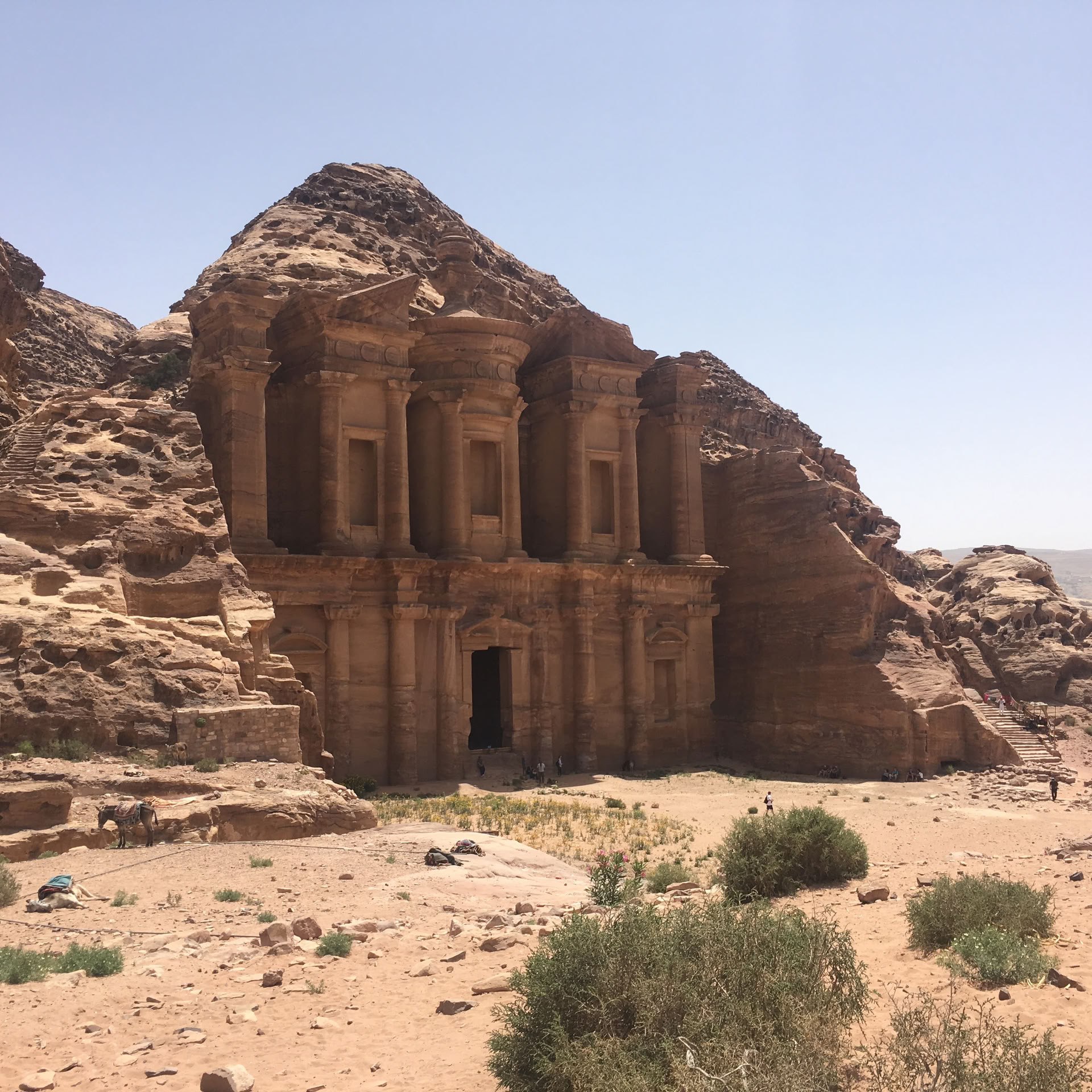 Tour vagabond de 5 jours en Jordanie