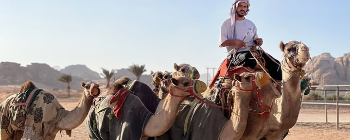 Aventure de trekking à dos de chameau de 4 jours avec les Bédouins à Wadi Rum, Jordanie