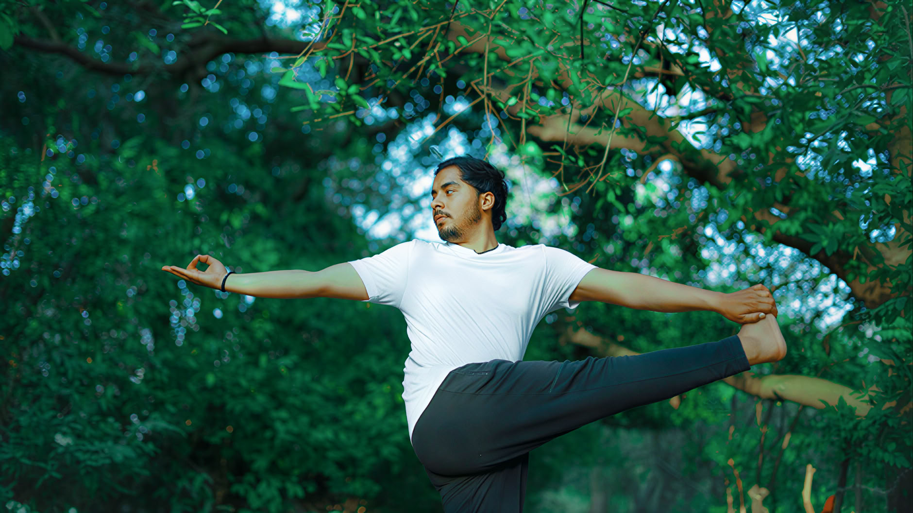 100 Hour TTC de yoga traditionnel