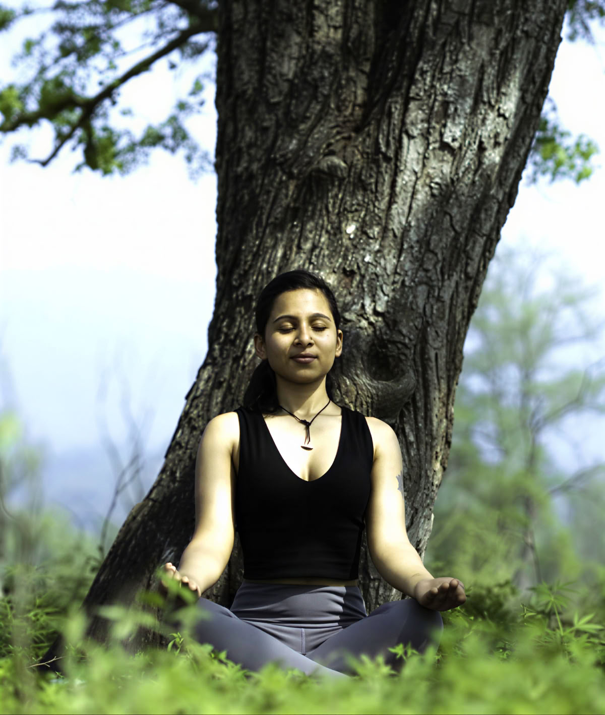 100 Hour TTC de yoga traditionnel